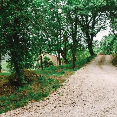 Parulia Country House Arezzo Exterior foto