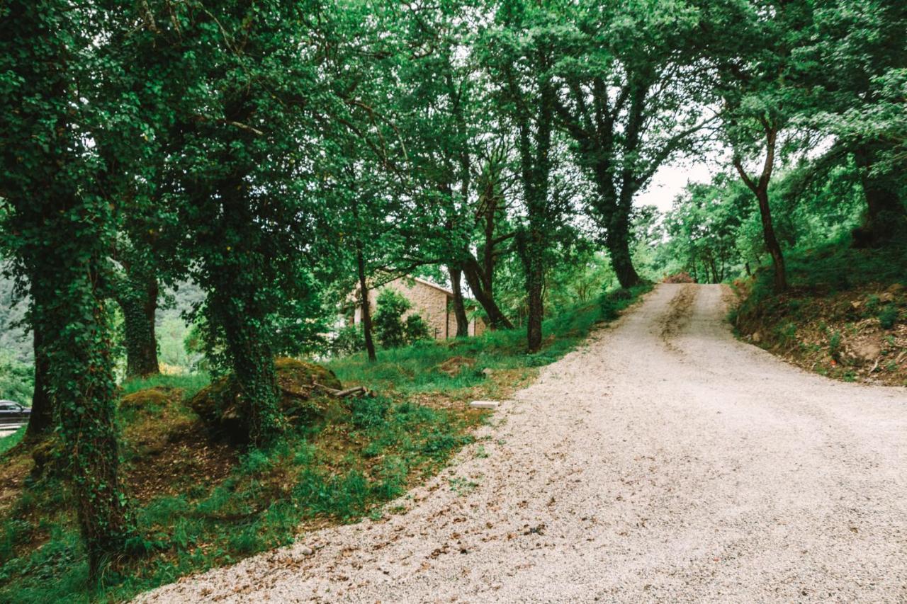 Parulia Country House Arezzo Exterior foto