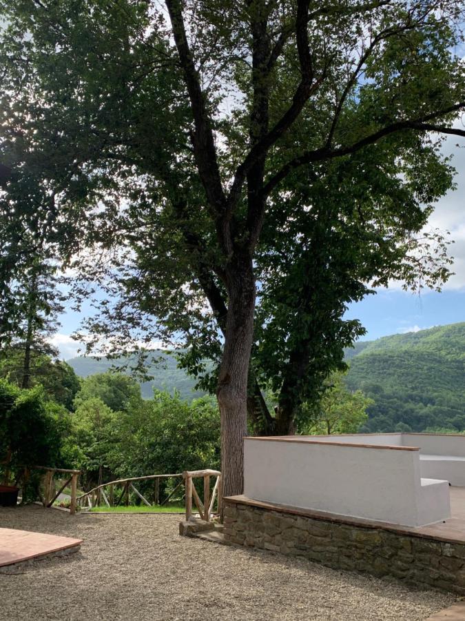 Parulia Country House Arezzo Exterior foto