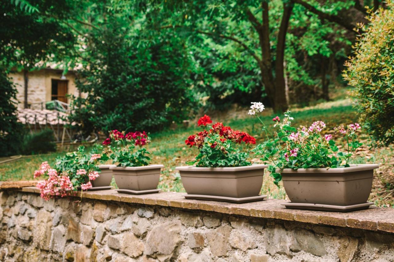 Parulia Country House Arezzo Exterior foto